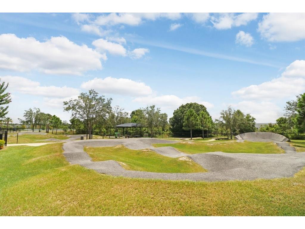 16247 November Rain Court Land O Lakes FL 34638 TB8496583 image66