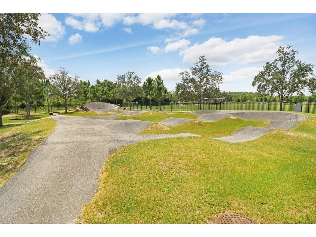 16247 November Rain Court Land O Lakes FL 34638 TB8496583 image67