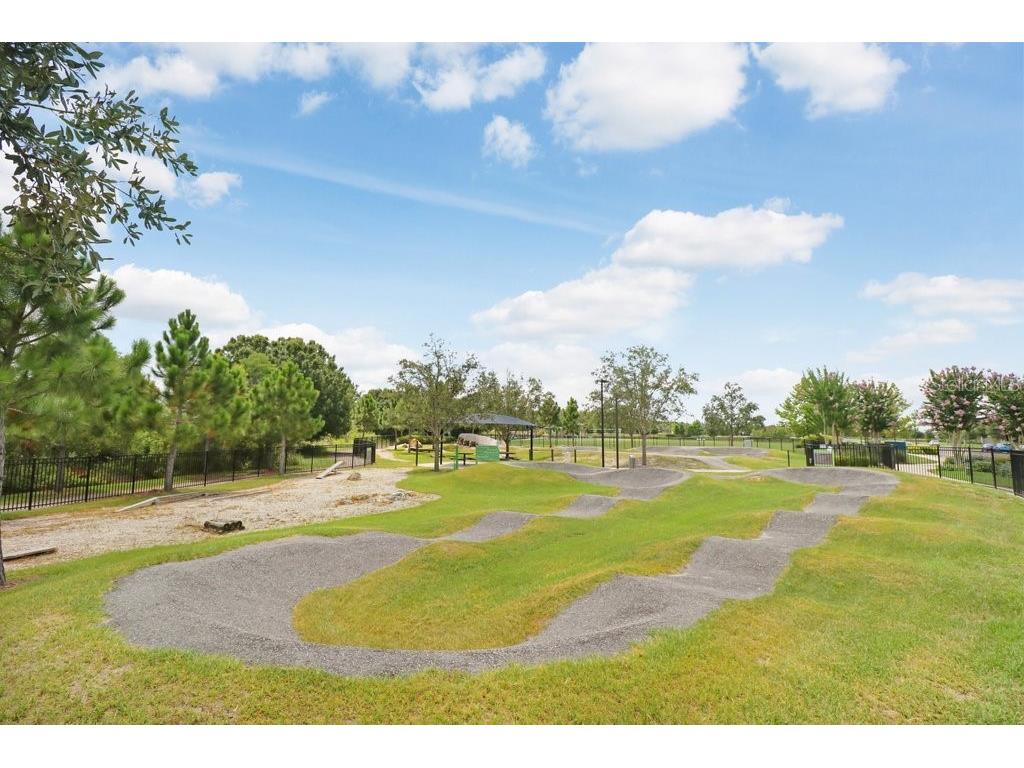 16247 November Rain Court Land O Lakes FL 34638 TB8496583 image68