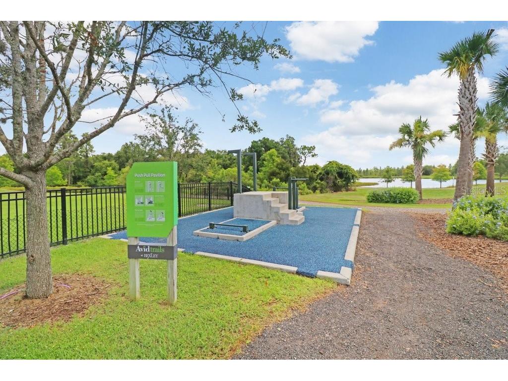 16247 November Rain Court Land O Lakes FL 34638 TB8496583 image69