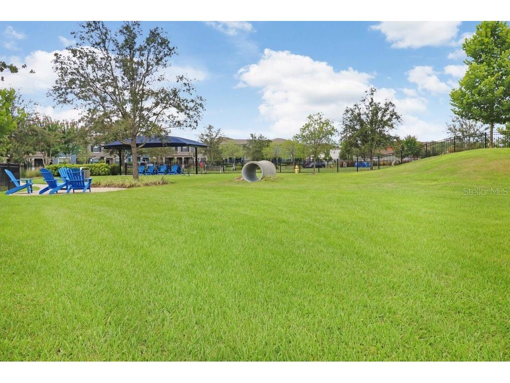 16247 November Rain Court Land O Lakes FL 34638 TB8496583 image70