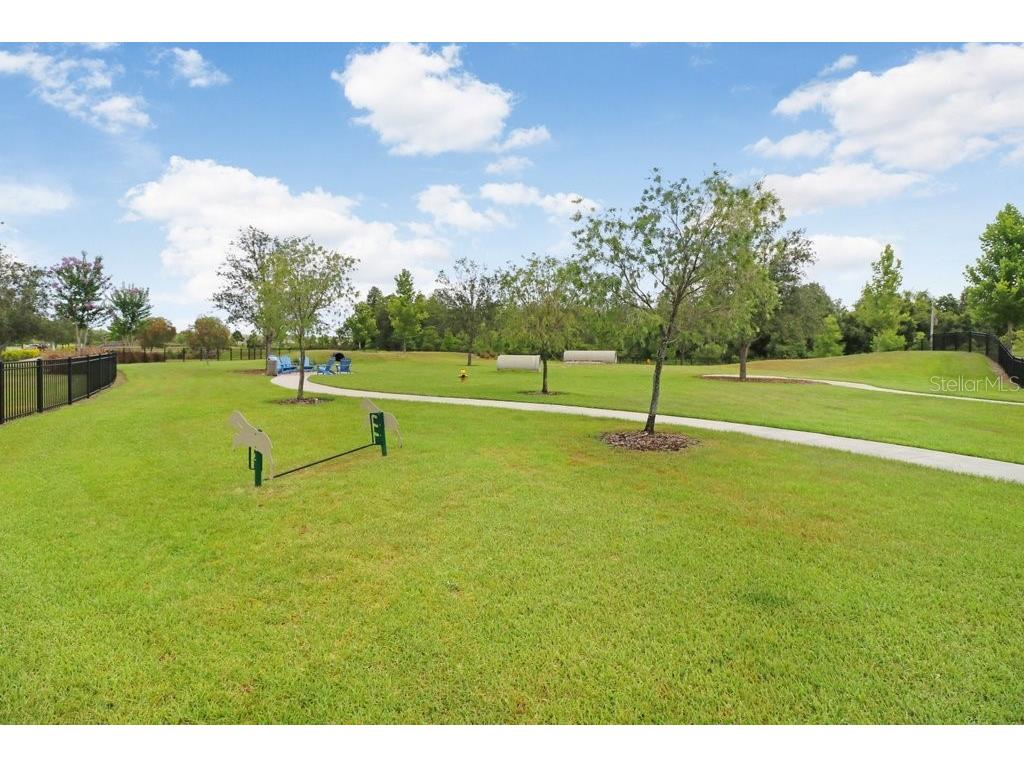 16247 November Rain Court Land O Lakes FL 34638 TB8496583 image73
