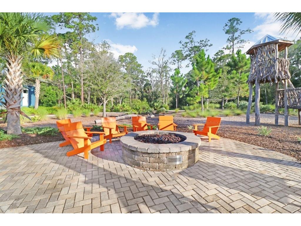 16247 November Rain Court Land O Lakes FL 34638 TB8496583 image76