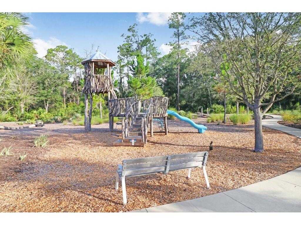 16247 November Rain Court Land O Lakes FL 34638 TB8496583 image77