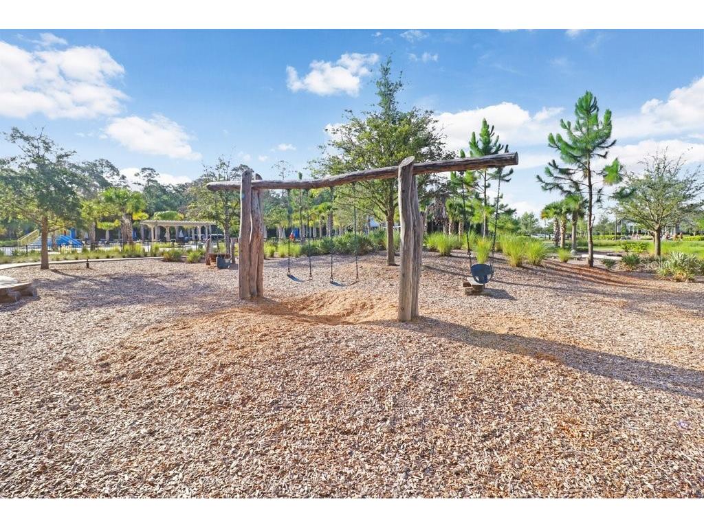 16247 November Rain Court Land O Lakes FL 34638 TB8496583 image78