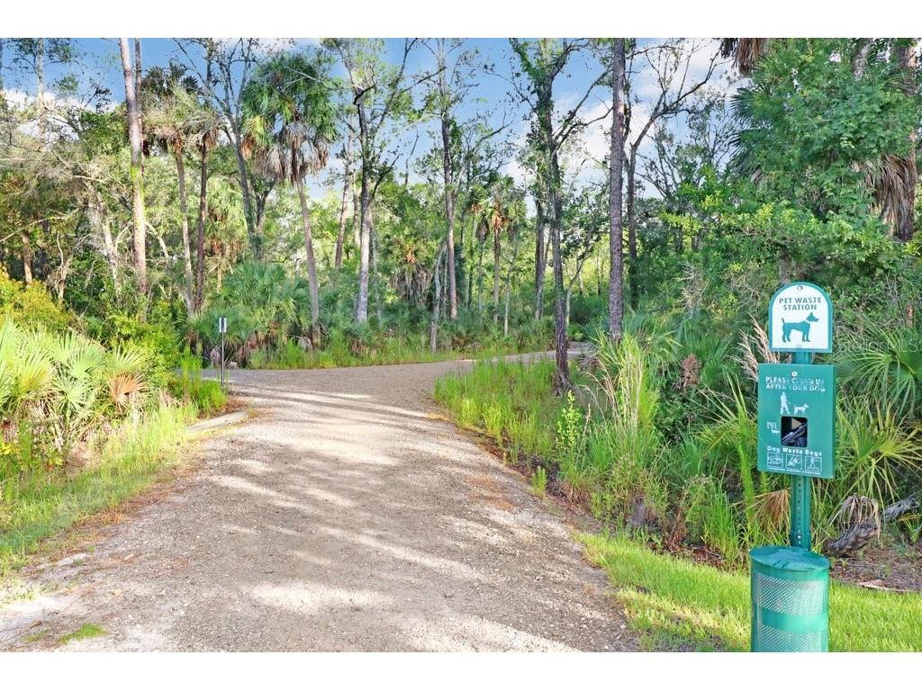 16247 November Rain Court Land O Lakes FL 34638 TB8496583 image79
