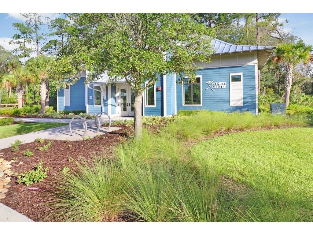 16247 November Rain Court Land O Lakes FL 34638 TB8496583 image80
