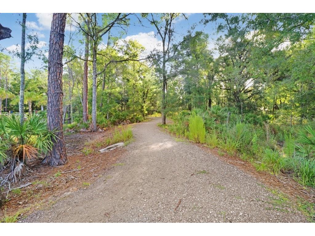 16247 November Rain Court Land O Lakes FL 34638 TB8496583 image83
