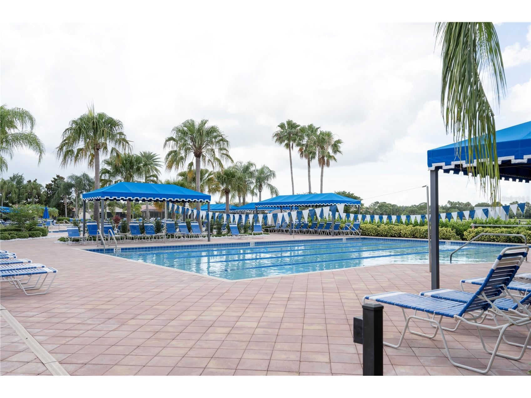 16248 Amethyst Key Drive Wimauma FL 33598 TB8512850 image27
