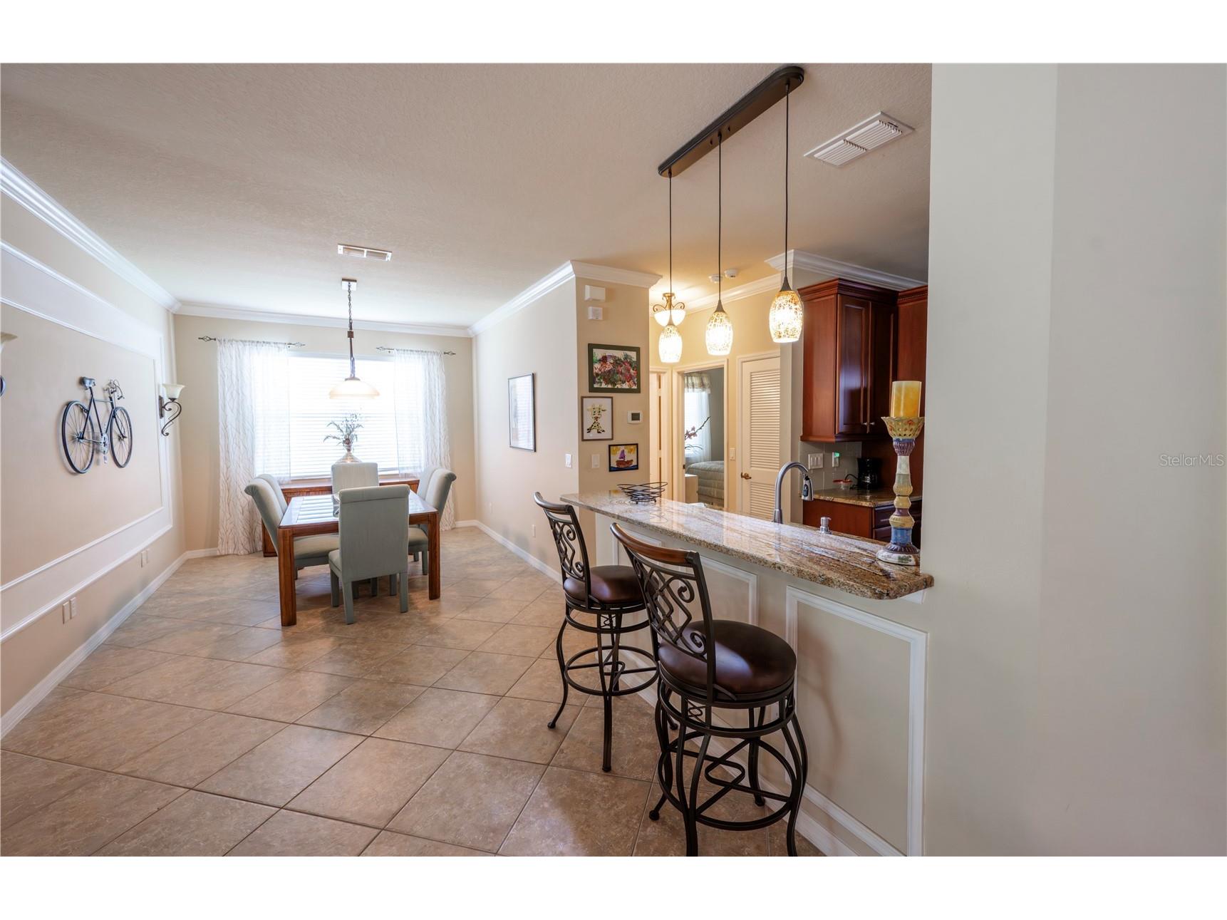 16248 Amethyst Key Drive Wimauma FL 33598 TB8512850 image28