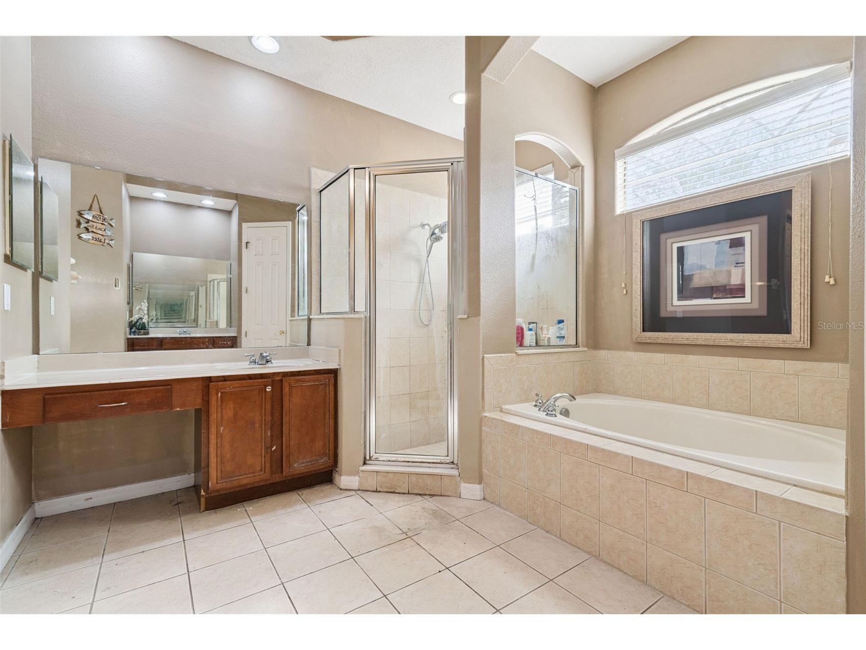 16249 Tudor Grove Drive Orlando FL 32828 O6391290 image23