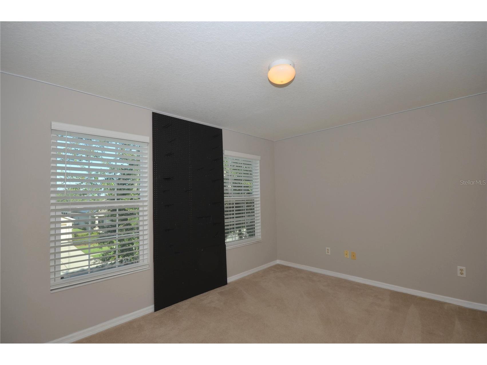 1625 Emerald Hill Way Valrico FL 33594 TB8525862 image37