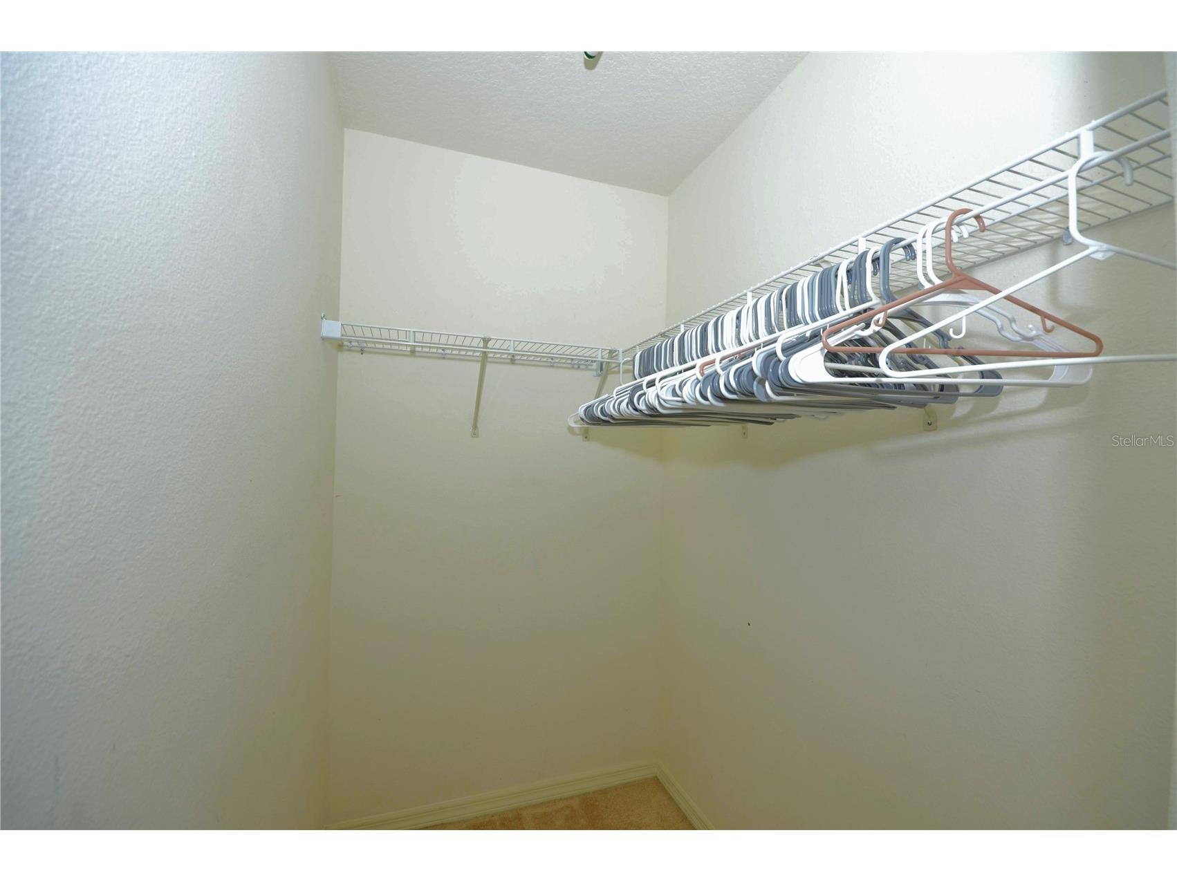 1625 Emerald Hill Way Valrico FL 33594 TB8525862 image39