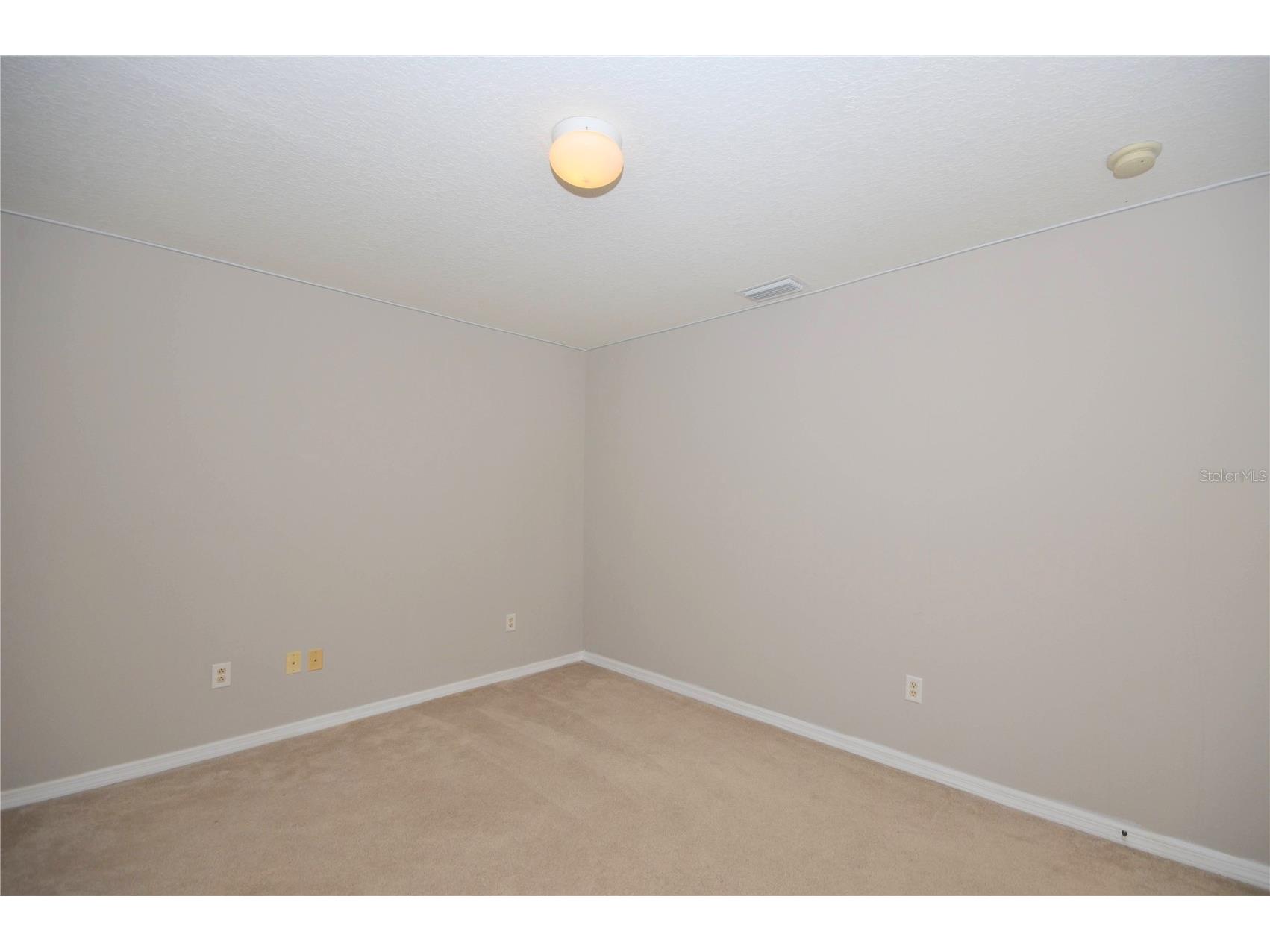 1625 Emerald Hill Way Valrico FL 33594 TB8525862 image41
