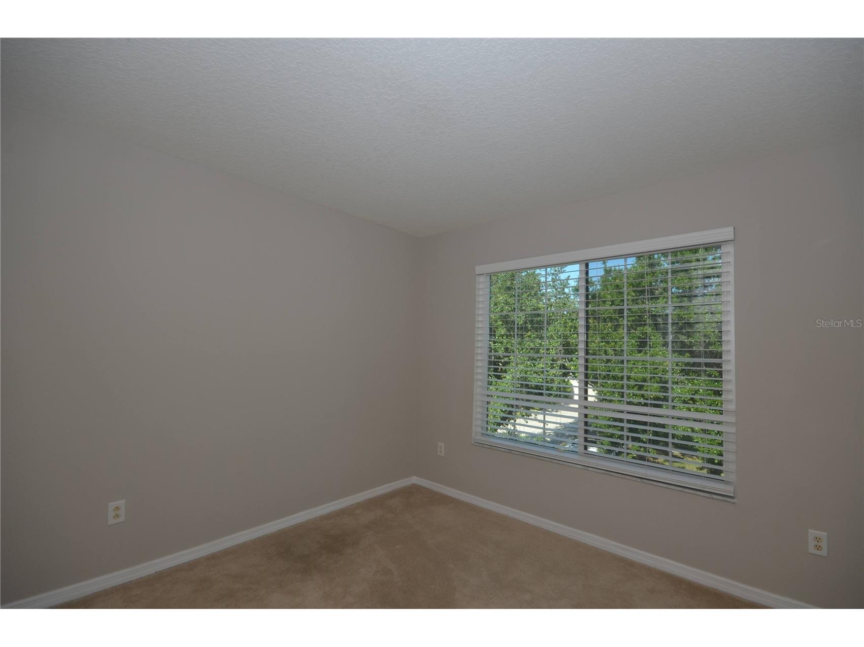 1625 Emerald Hill Way Valrico FL 33594 TB8525862 image43