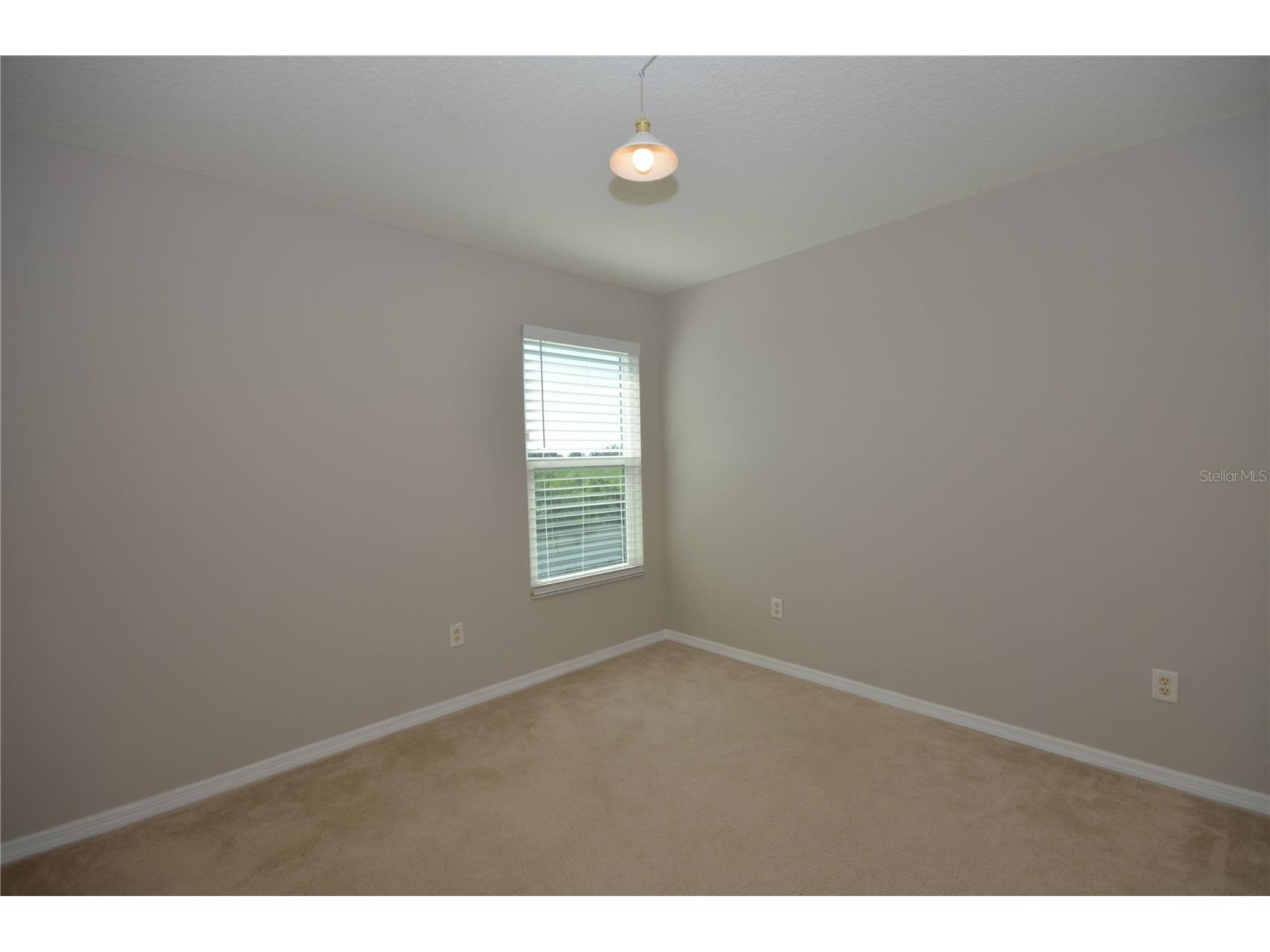 1625 Emerald Hill Way Valrico FL 33594 TB8525862 image51