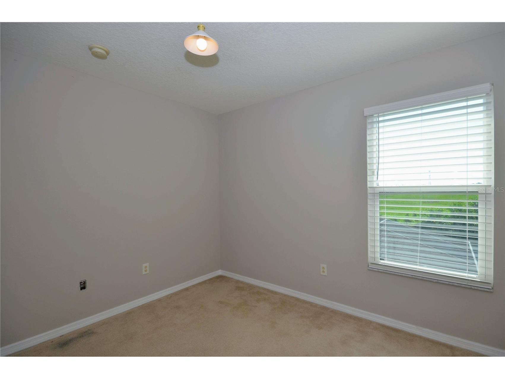 1625 Emerald Hill Way Valrico FL 33594 TB8525862 image55