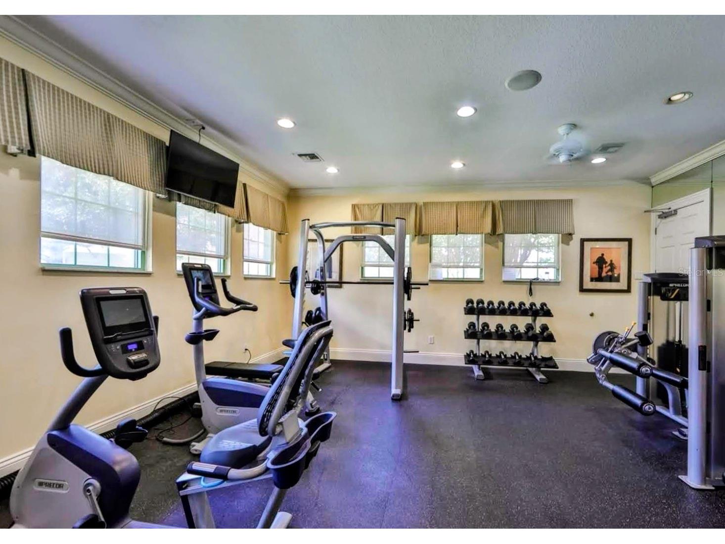 1625 Emerald Hill Way Valrico FL 33594 TB8525862 image67