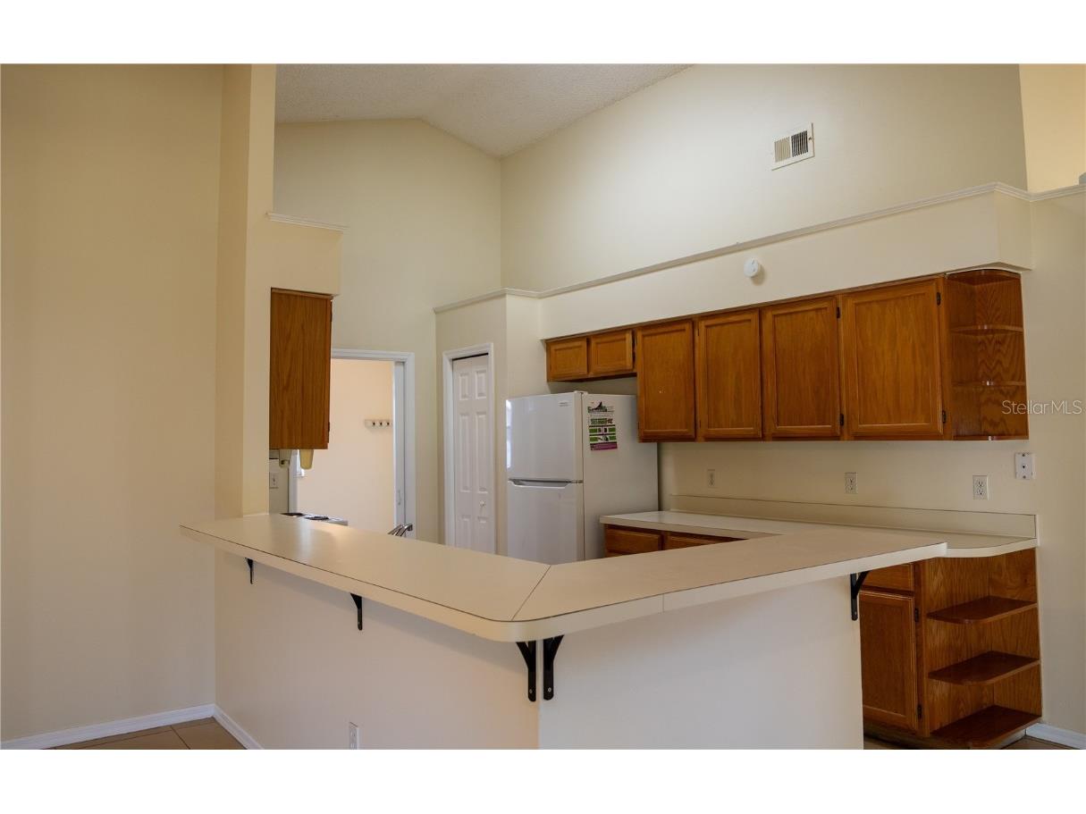 1625 Newchapel Drive Orlando FL 32837 O6357702 image12