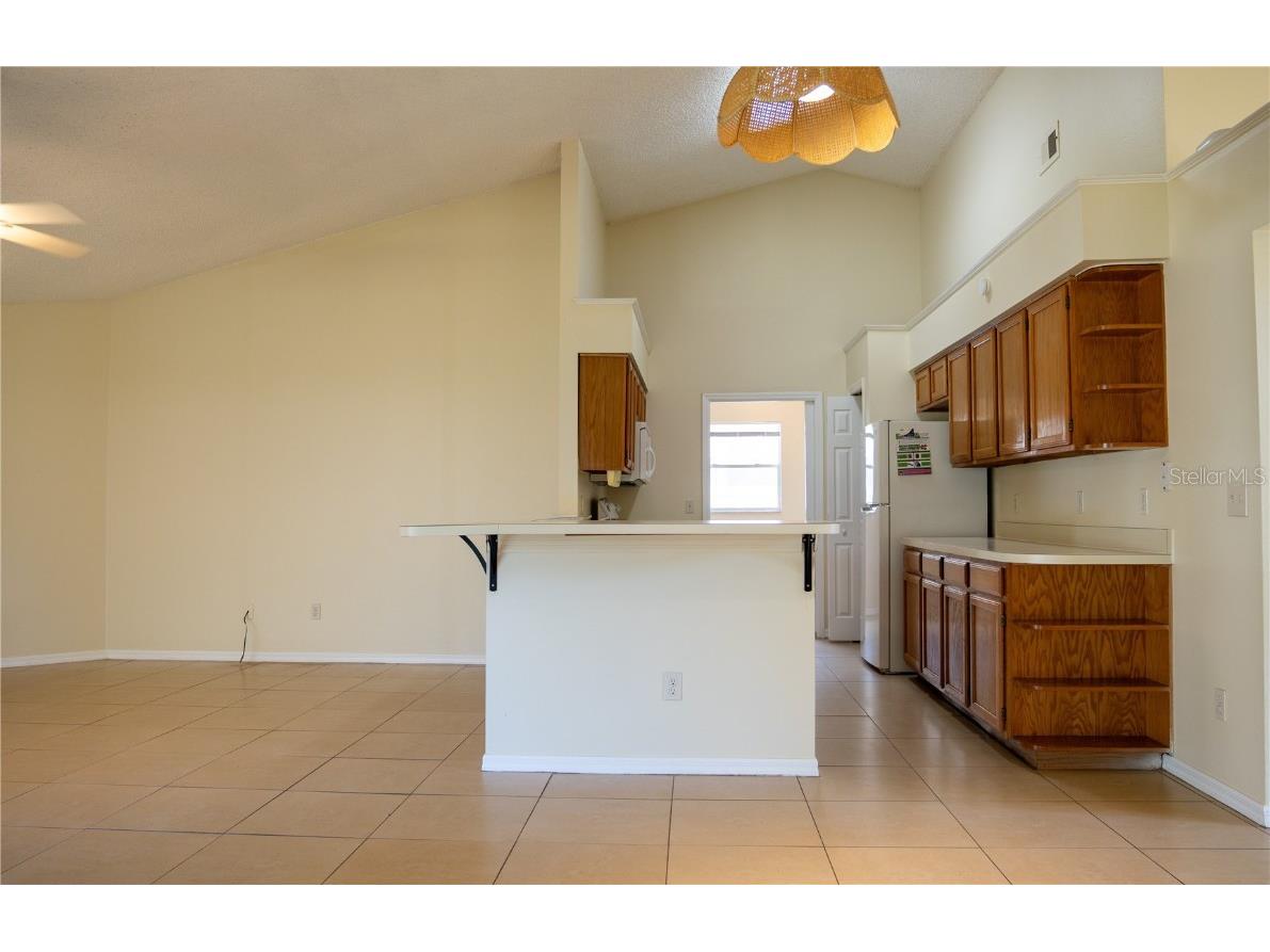 1625 Newchapel Drive Orlando FL 32837 O6357702 image8