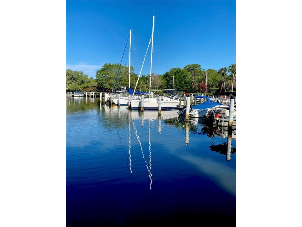 1625 Treehouse Circle #TR111 Sarasota FL 34231 A4480456 image44