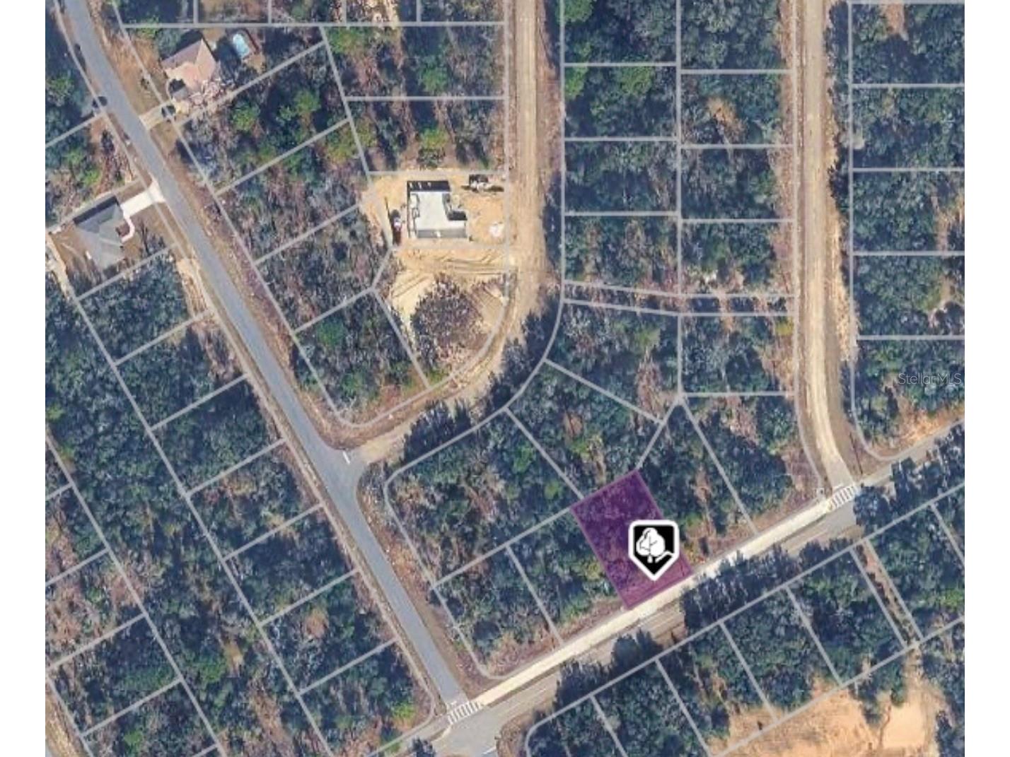 1625 W Delmane Drive Dunnellon FL 34434 S5152815 image1