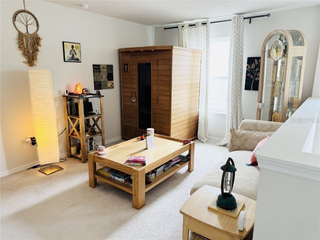 16250 Firedragon Drive Winter Garden FL 34787 G5103798 image14