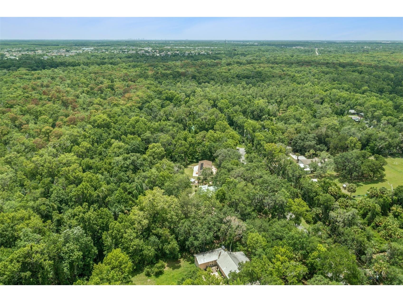 16250 Hamilton Dr Orlando FL 32833 - ECONLOCKHATCHEE RIVER O6413946 image29