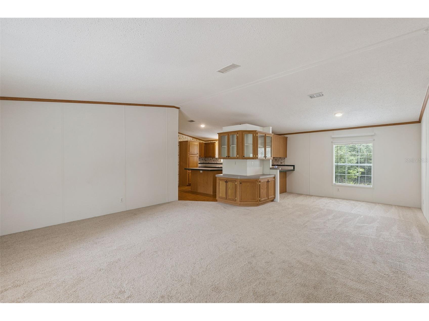 16250 Hamilton Dr Orlando FL 32833 - ECONLOCKHATCHEE RIVER O6413946 image6