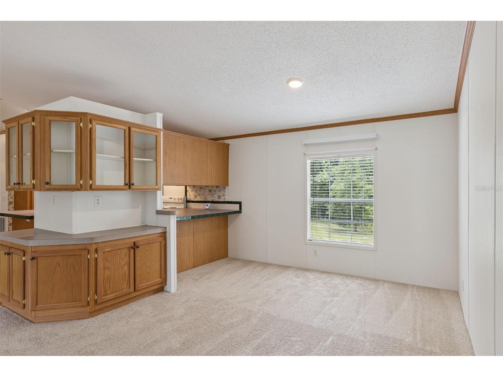 16250 Hamilton Dr Orlando FL 32833 - ECONLOCKHATCHEE RIVER O6413946 image7