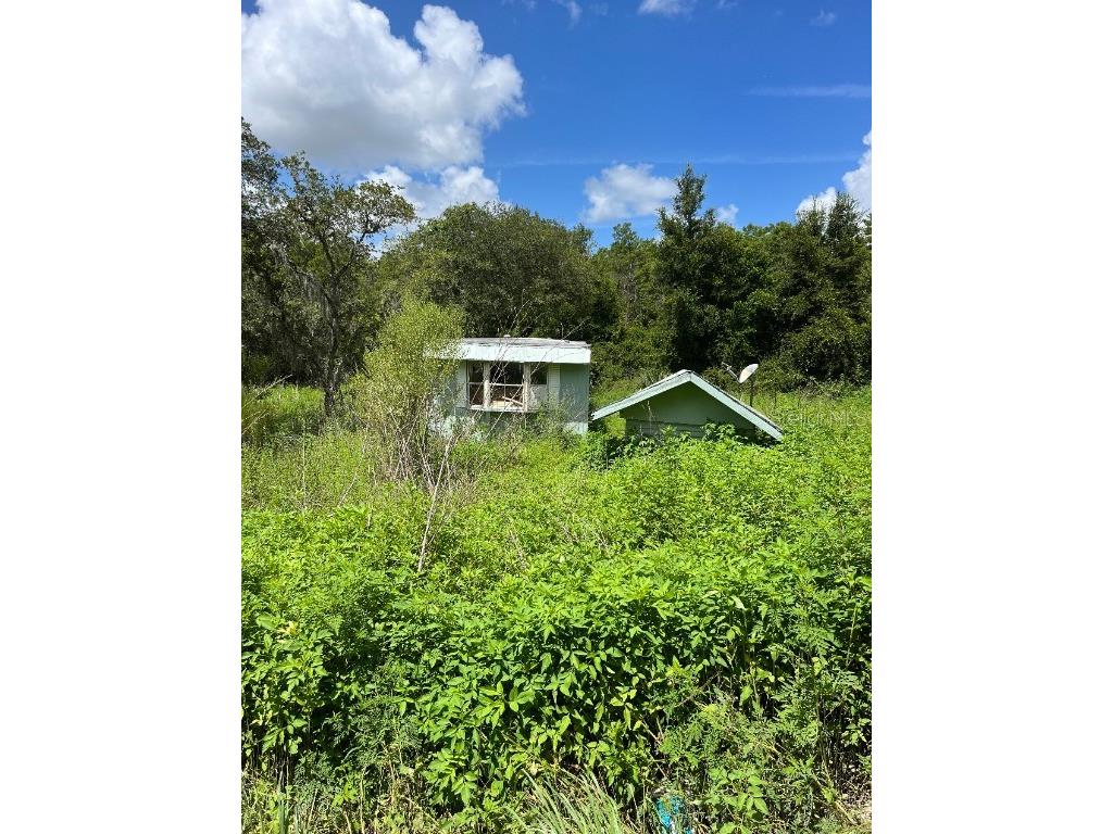 16250 SE 252nd Terrace Umatilla FL 32784 V4929066 image1