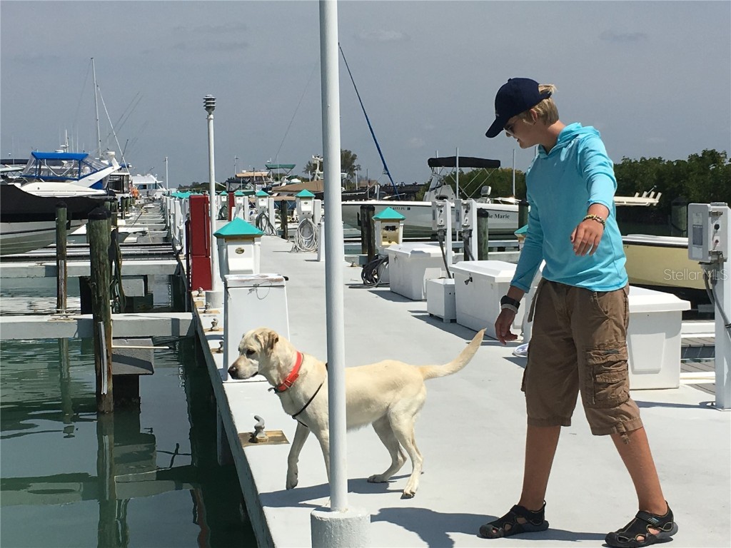 16250 Sunset Pines Circle Boca Grande FL 33921 D6140811 image38