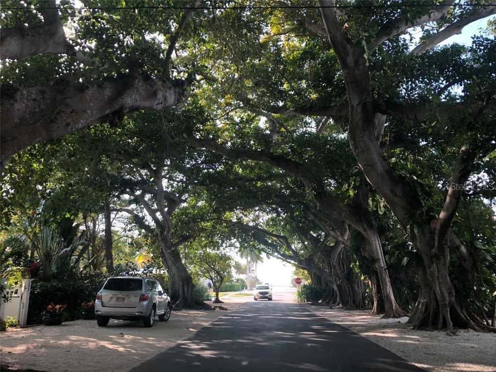 16250 Sunset Pines Circle Boca Grande FL 33921 D6140811 image43