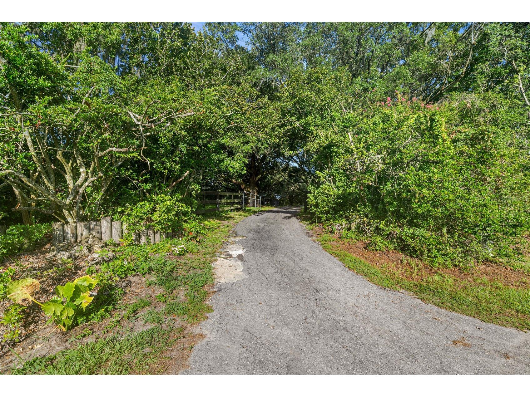 16250 SW 20th Avenue Road Ocala FL 34473 OM727916 image3