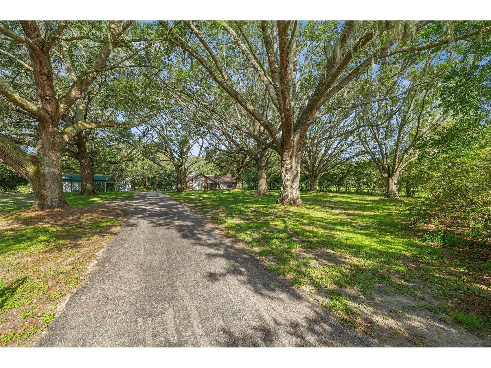 16250 SW 20th Avenue Road Ocala FL 34473 OM727916 image4