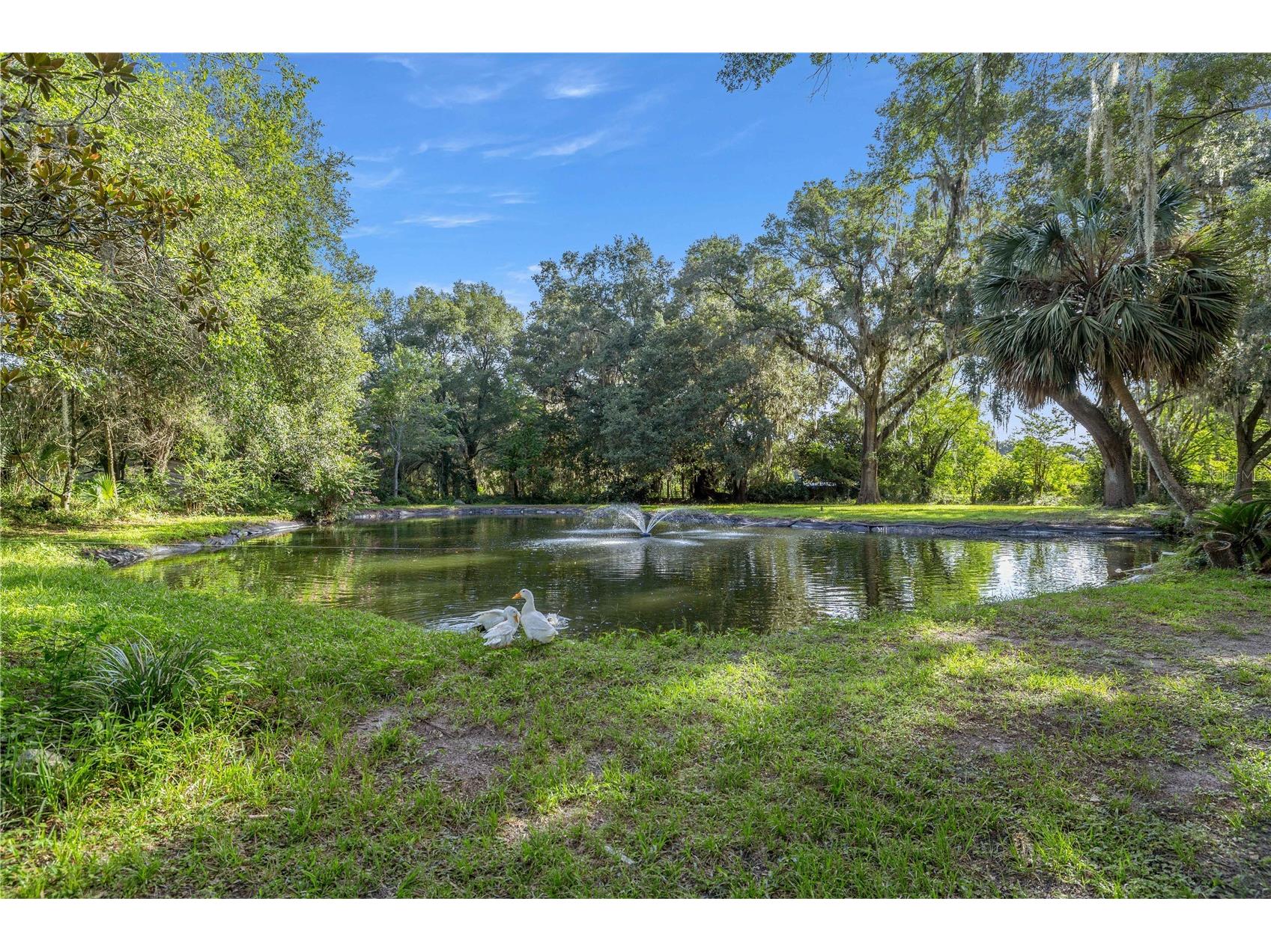 16250 SW 20th Avenue Road Ocala FL 34473 OM727916 image47