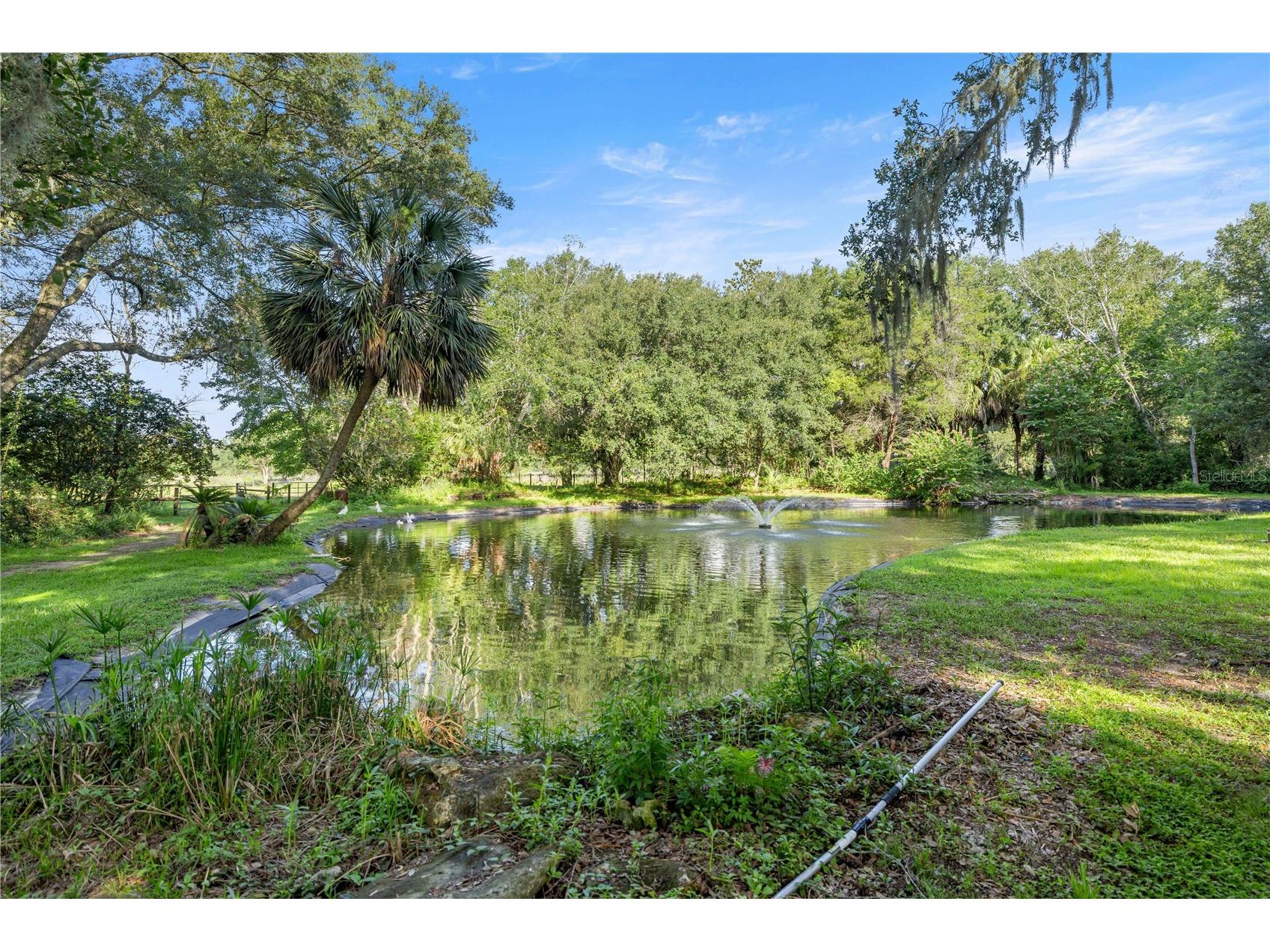 16250 SW 20th Avenue Road Ocala FL 34473 OM727916 image48