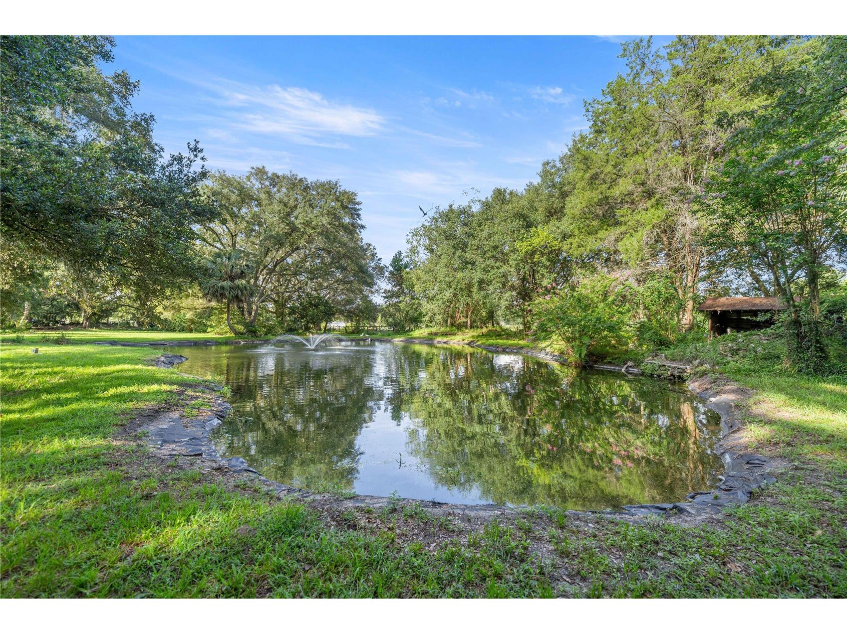 16250 SW 20th Avenue Road Ocala FL 34473 OM727916 image49