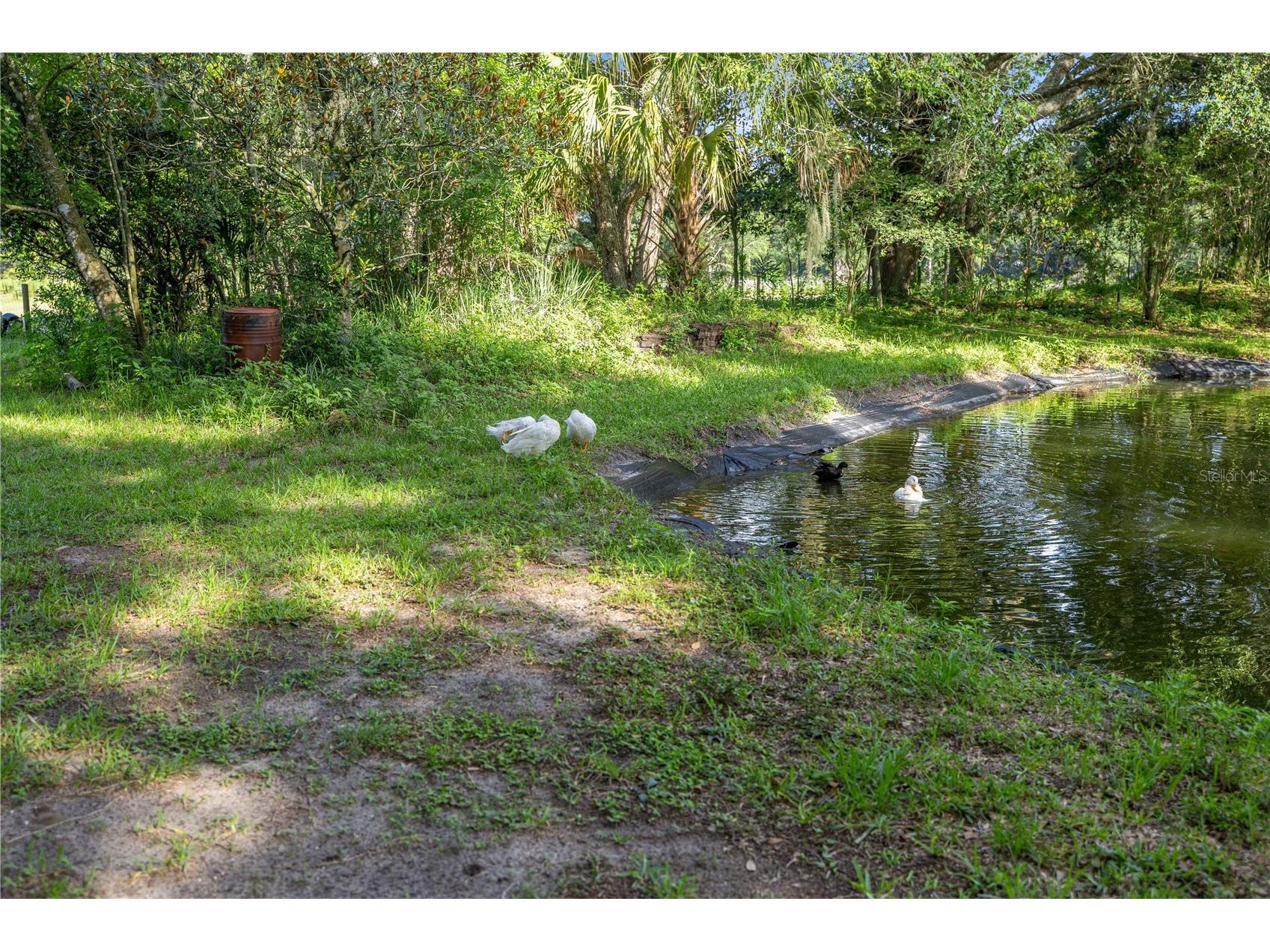 16250 SW 20th Avenue Road Ocala FL 34473 OM727916 image51