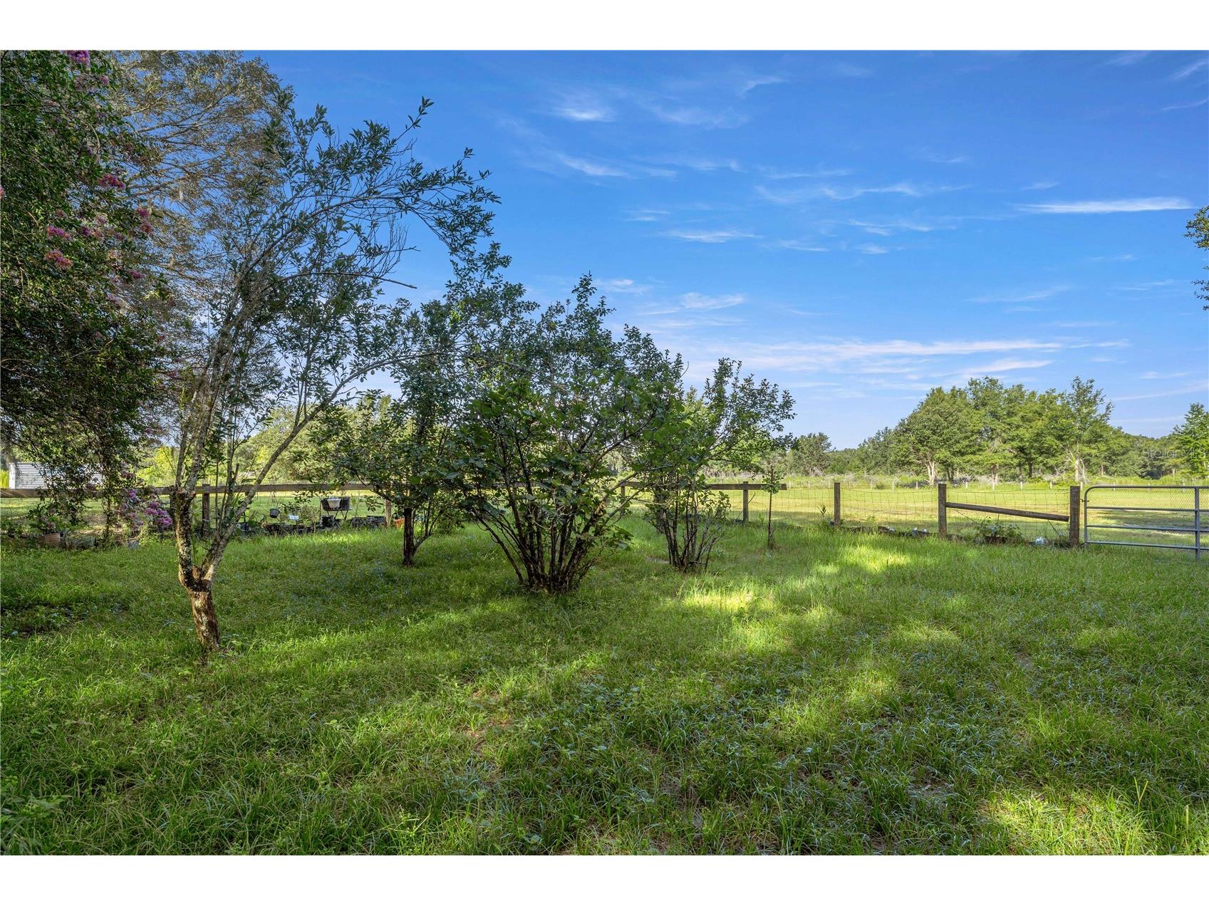 16250 SW 20th Avenue Road Ocala FL 34473 OM727916 image60