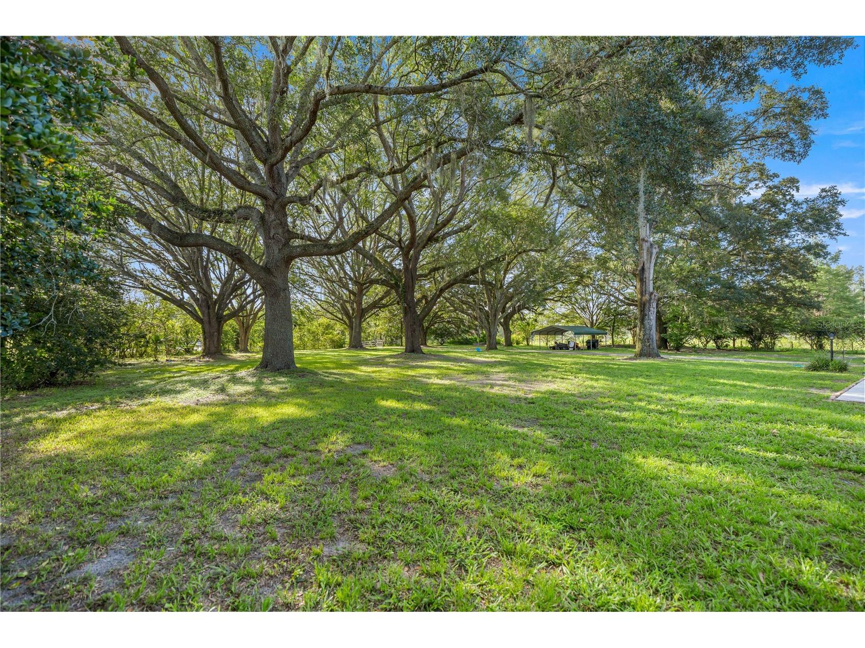 16250 SW 20th Avenue Road Ocala FL 34473 OM727916 image61
