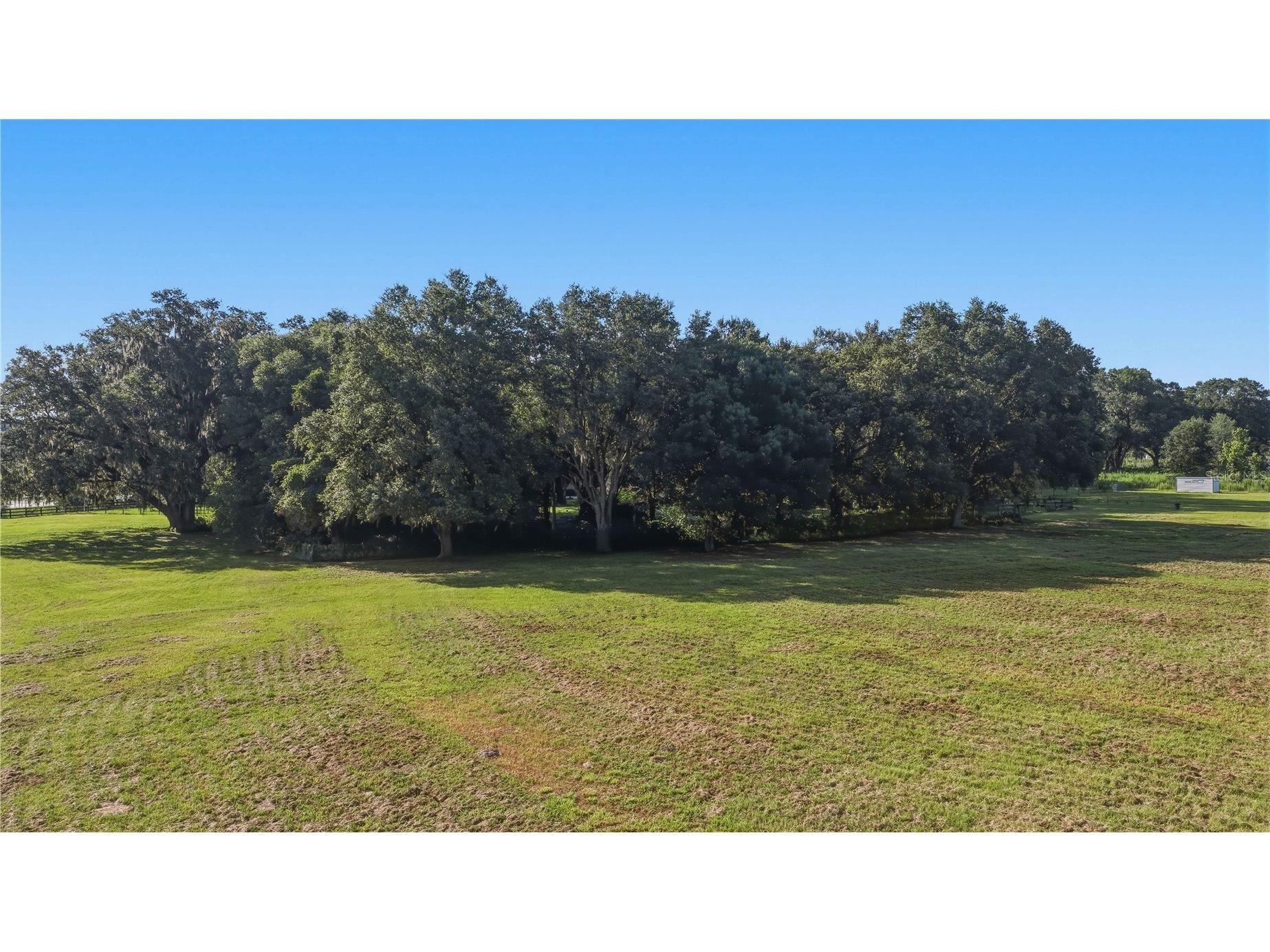 16250 SW 20th Avenue Road Ocala FL 34473 OM727916 image65