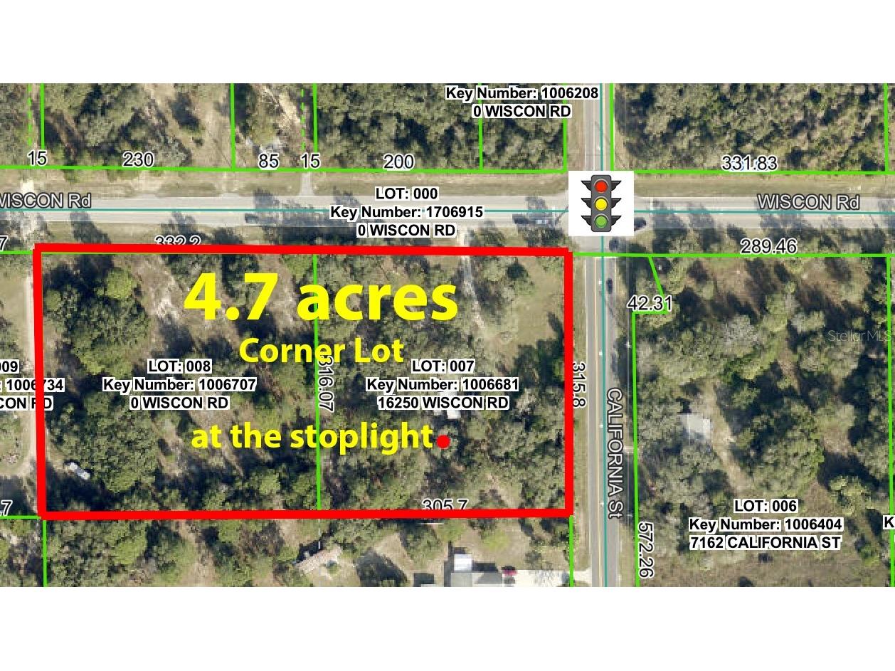 16250 Wiscon Road Brooksville FL 34601 W7880196 image2