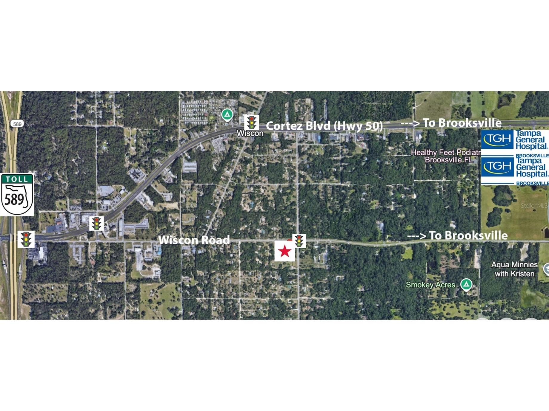 16250 Wiscon Road Brooksville FL 34601 W7880196 image3