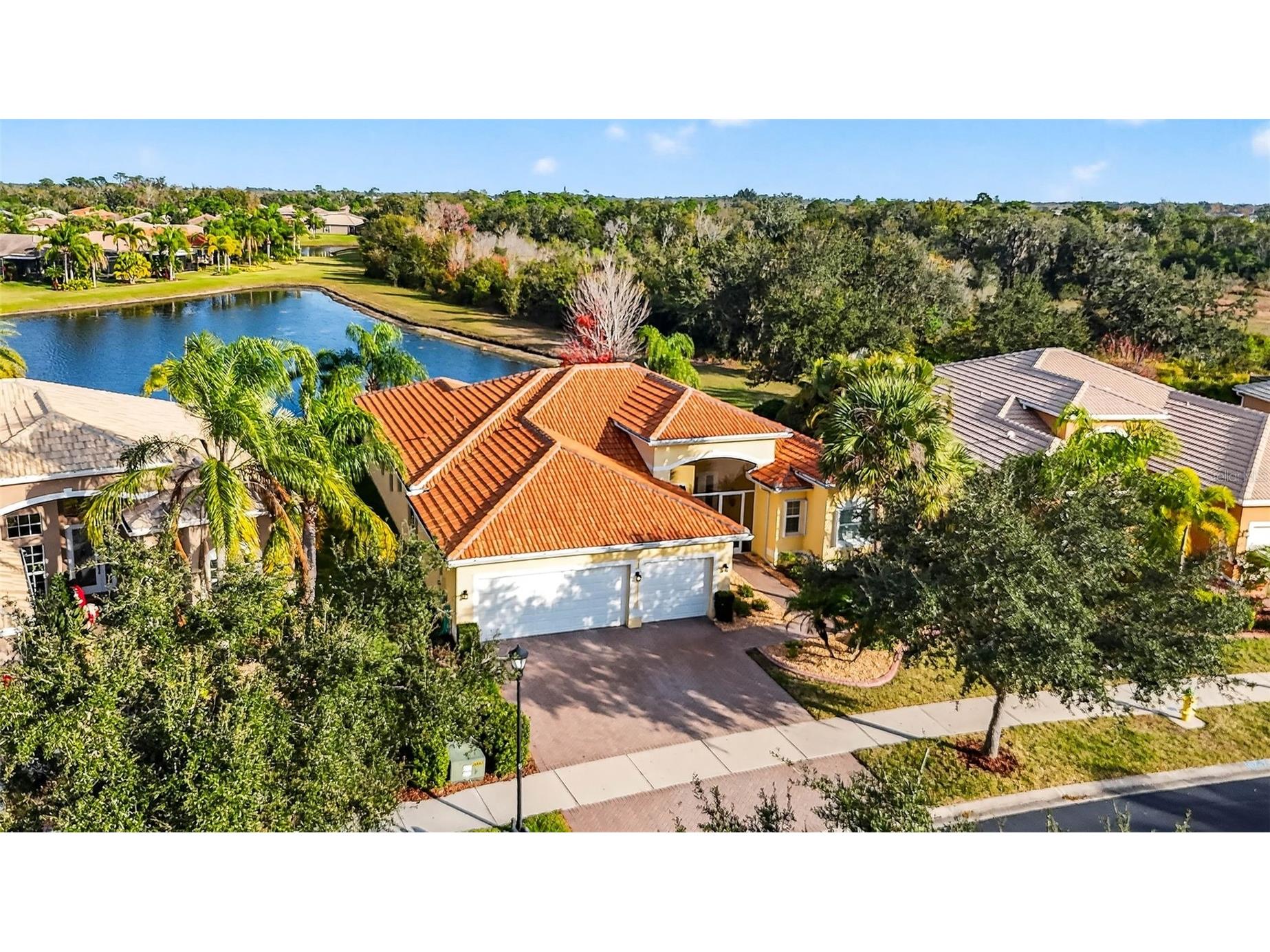 16251 Diamond Bay Drive Wimauma FL 33598 TB8461361 image1