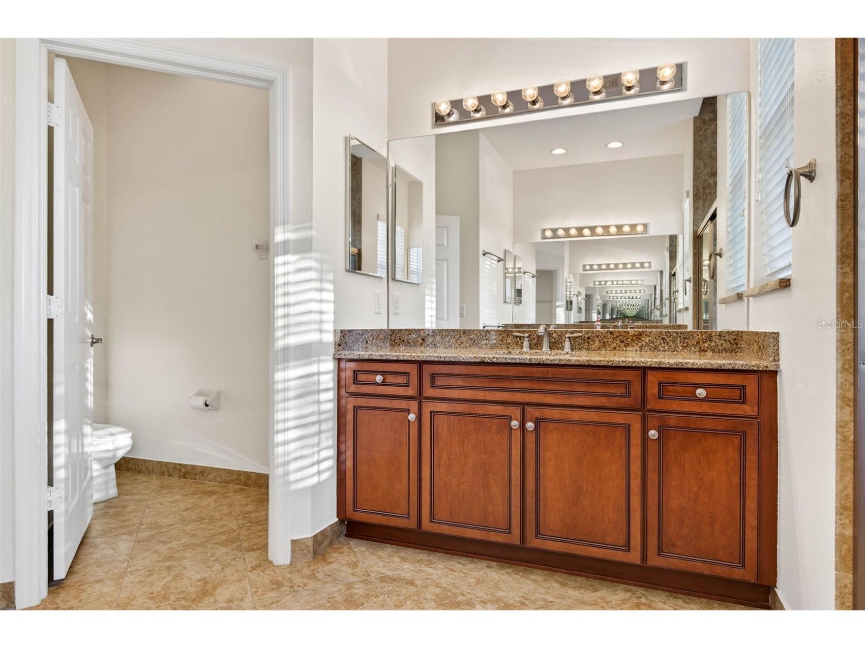 16251 Diamond Bay Drive Wimauma FL 33598 TB8461361 image26