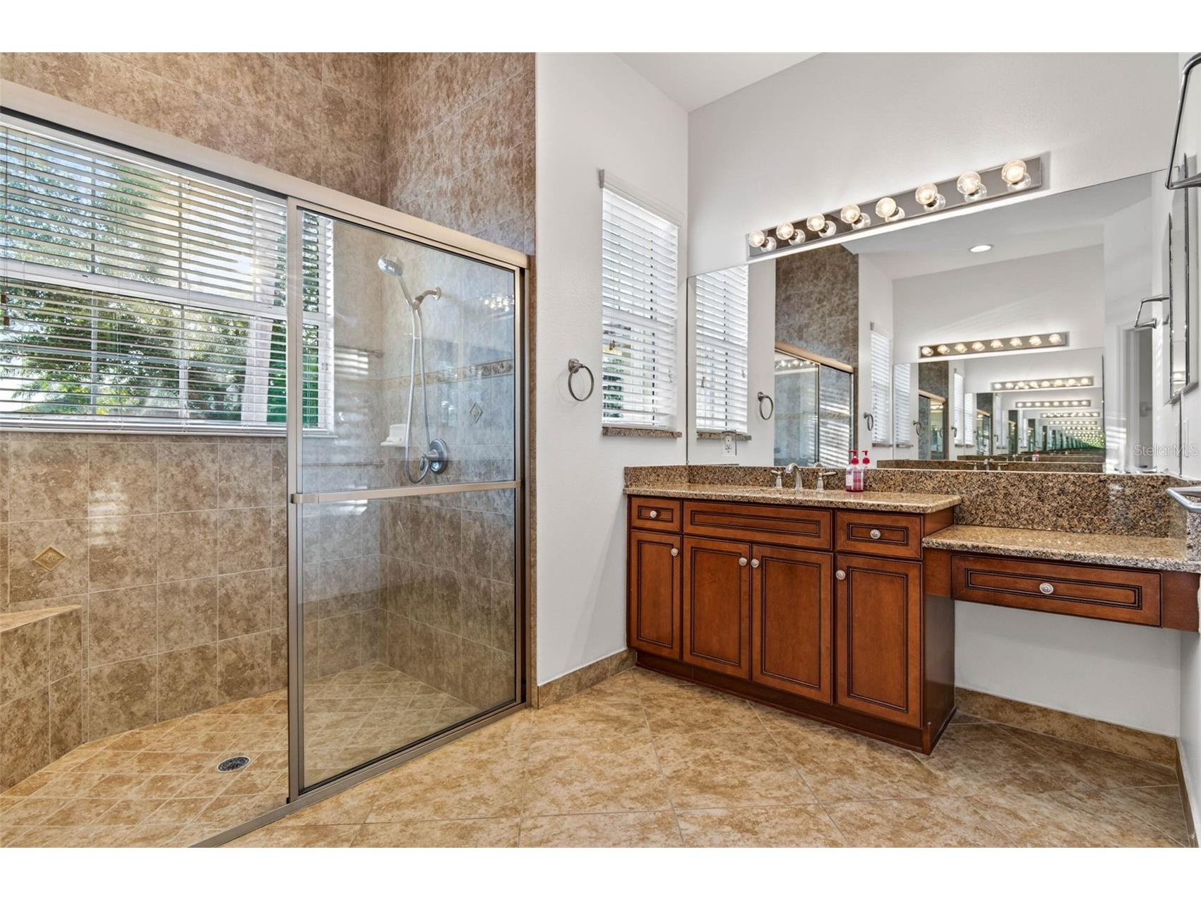 16251 Diamond Bay Drive Wimauma FL 33598 TB8461361 image43
