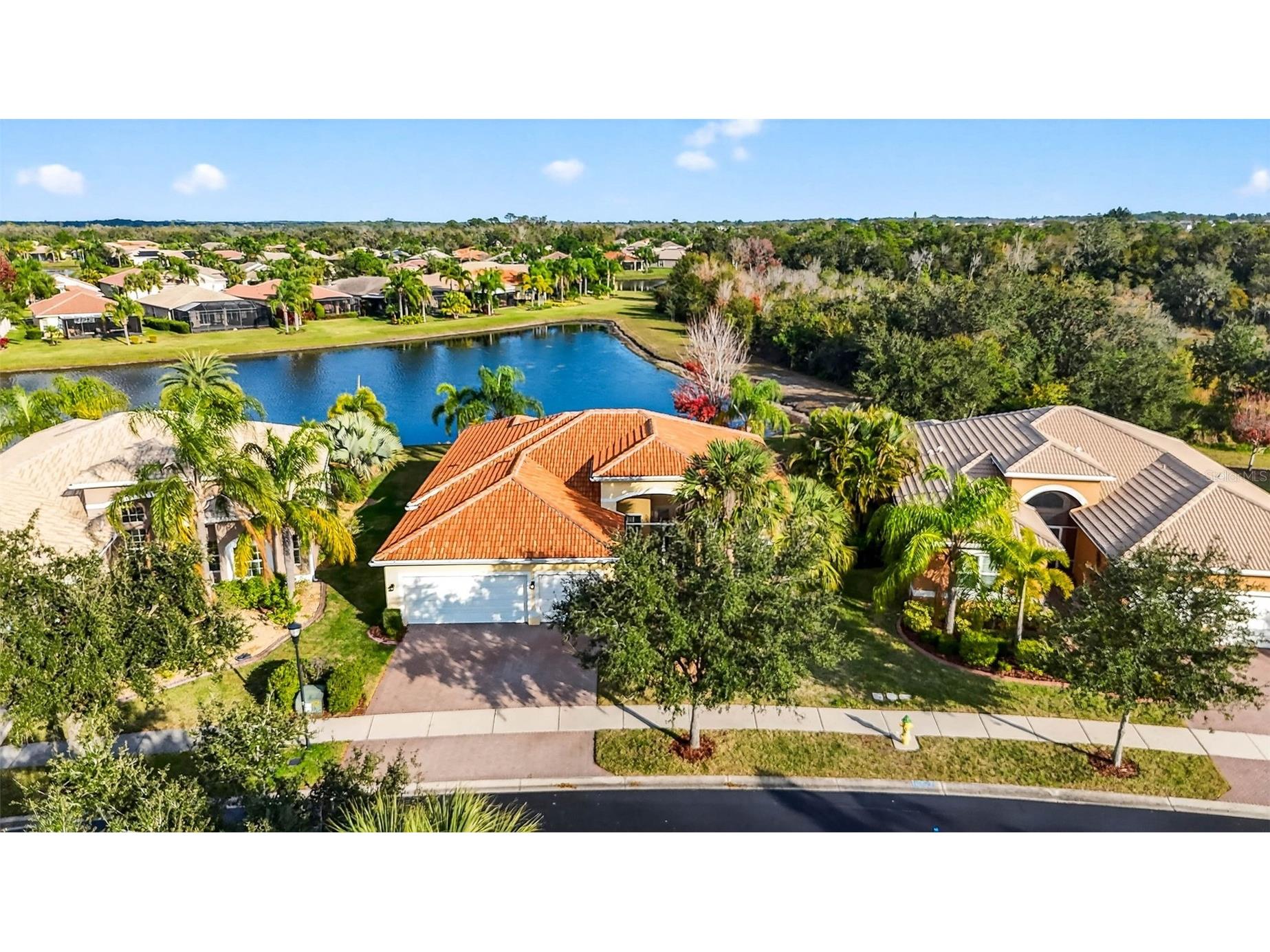 16251 Diamond Bay Drive Wimauma FL 33598 TB8461361 image46