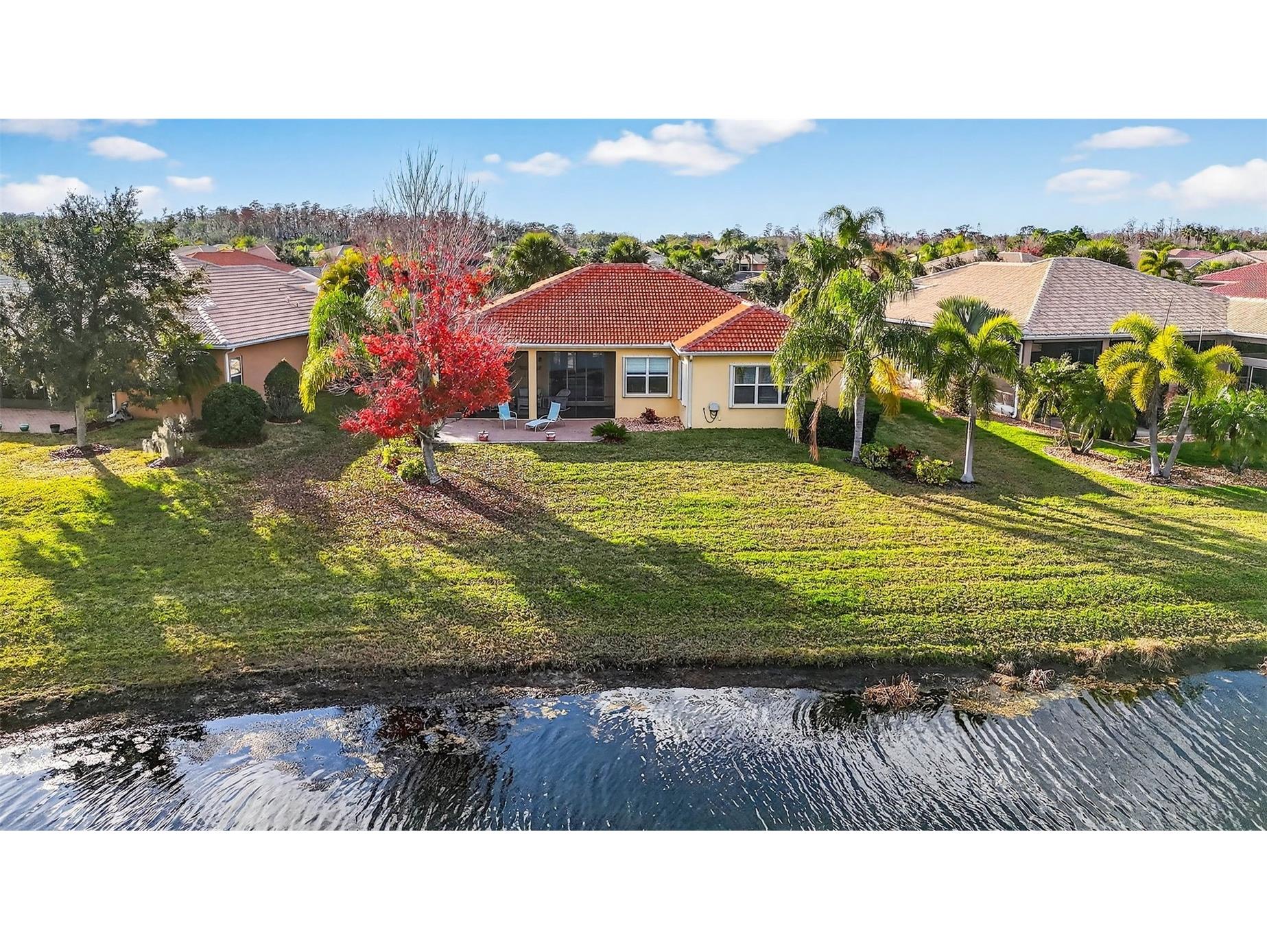 16251 Diamond Bay Drive Wimauma FL 33598 TB8461361 image47