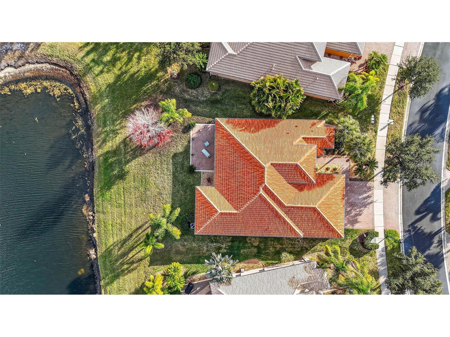 16251 Diamond Bay Drive Wimauma FL 33598 TB8461361 image48